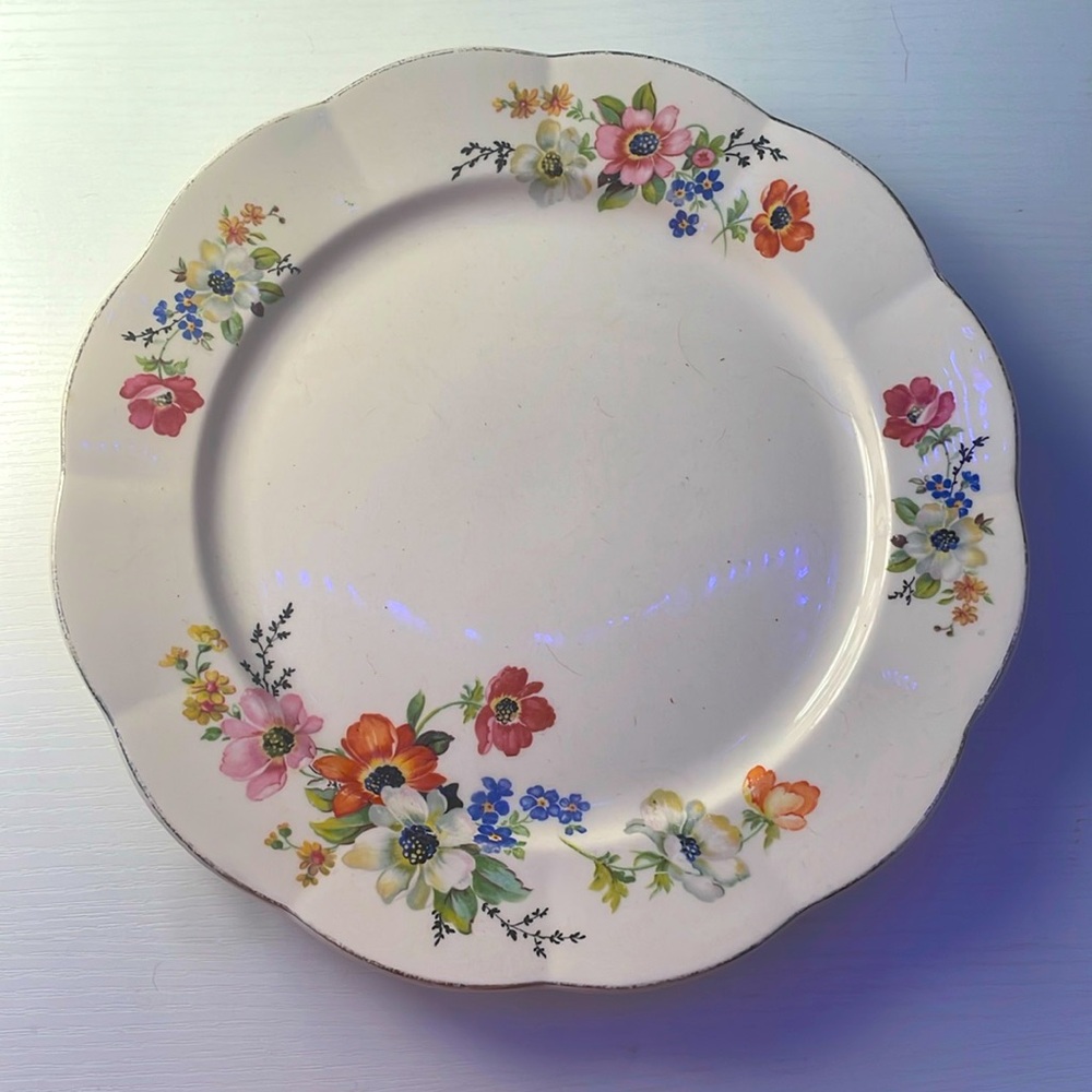 Two Vintage Floral Ceramic China plates